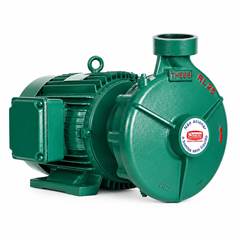 BOMBA RL-25 15CV | TRIFÁSICO 4V | ROTOR 202MM | MOTOR WEG - THEBE